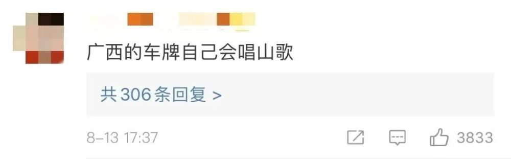 南京长江大桥|意外发现！车牌上有个小秘密，全国网友都激动了