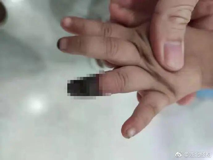 图片来源：@湖北经视 微博截图