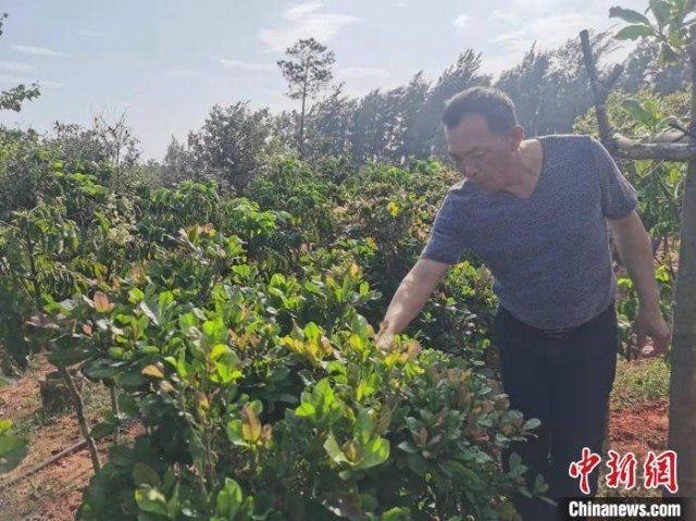 ̨���ں�����ó�ۡ����롱Ͷ��