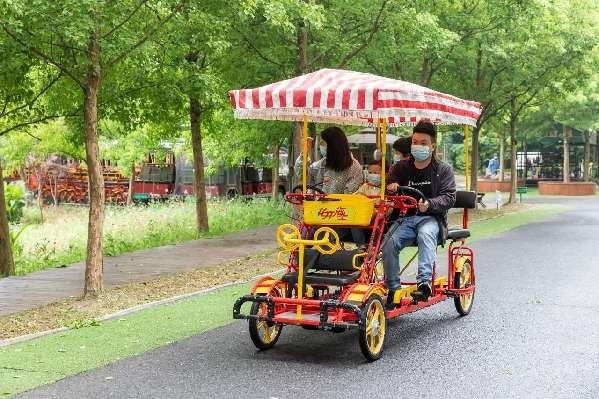 沪郊生态园恢复开放,首批游客雨中赏花