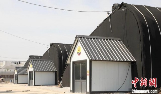 ��԰�巢չ�ִ�ũҵ��ɫ��ҵ��Ϊ��չ׳��弯�徭�á��������տ�����һ����ɫ��չ����·�������� ��