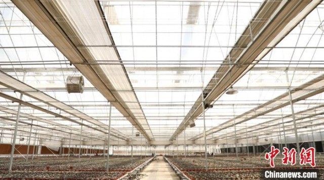 ��԰�巢չ�ִ�ũҵ��ɫ��ҵ��Ϊ��չ׳��弯�徭�á��������տ�����һ����ɫ��չ����·�������� ��