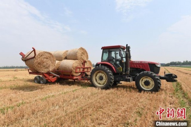 ������������ߡ��ӱ�����41���С��ոѴ���������Ϊ����