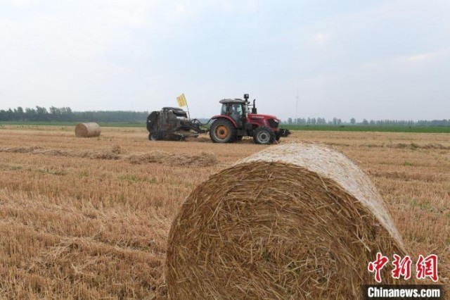 ͼΪ����ũ�������ڼ�ʻ�����������ղݴ����������� ��