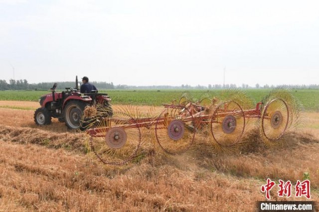 ͼΪ����ũ�������ڼ�ʻ§�ݻ�������ɢ��Ľոѹ�£��һ�𣬡������� ��