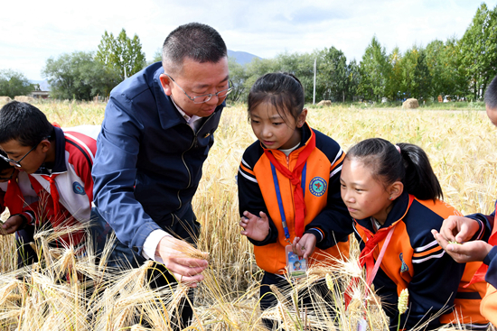上海援藏教师将思政课搬进青稞地 把多彩课堂送到雪域高原
