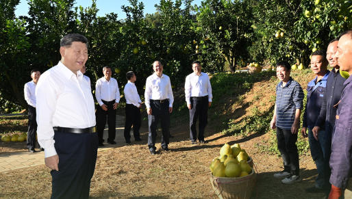 0.jpg