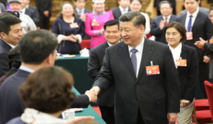 习近平总书记在参加十三届全国人大二次会议内蒙古代表团.png