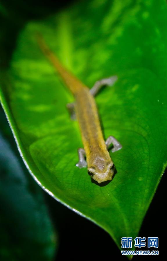 [7]��������ߣ�������ϱ�Σ���