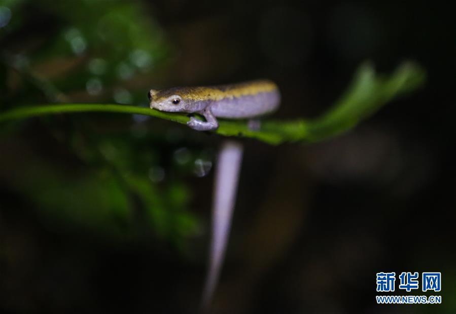 [10]��������ߣ�������ϱ�Σ���