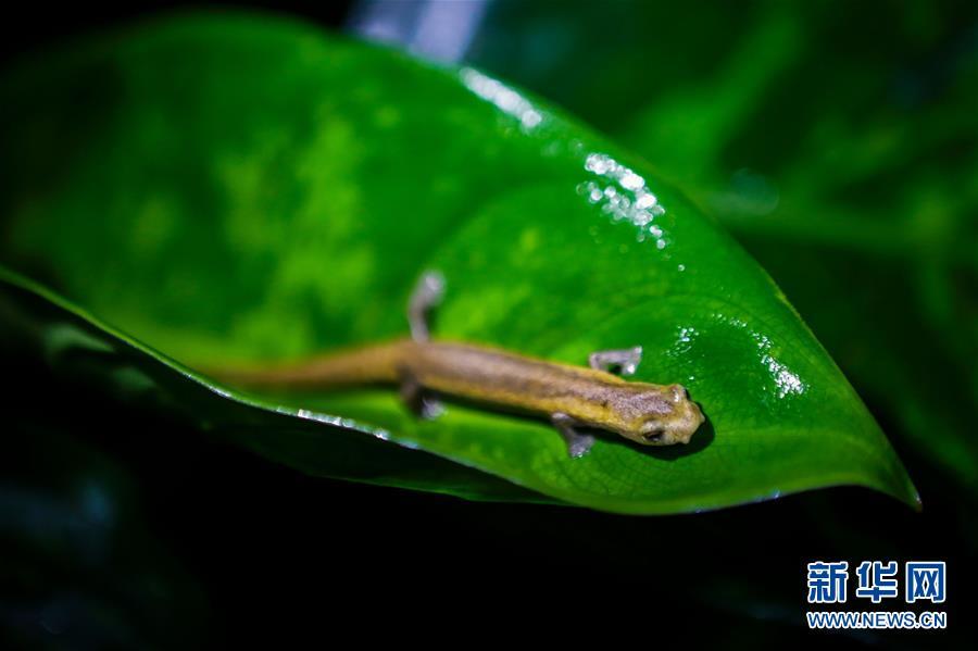 [12]��������ߣ�������ϱ�Σ���