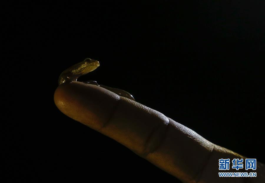 [13]��������ߣ�������ϱ�Σ���