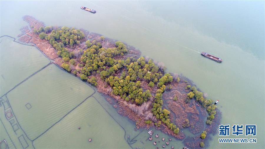 #���ӡ�������3�������С��