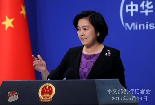图为华春莹 图片来源:外交部网站