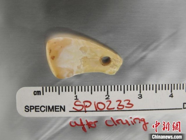 Լ2����ǰ׹�θ�ԭ������DNA���ʴ����з����ƻ�����ȡ����