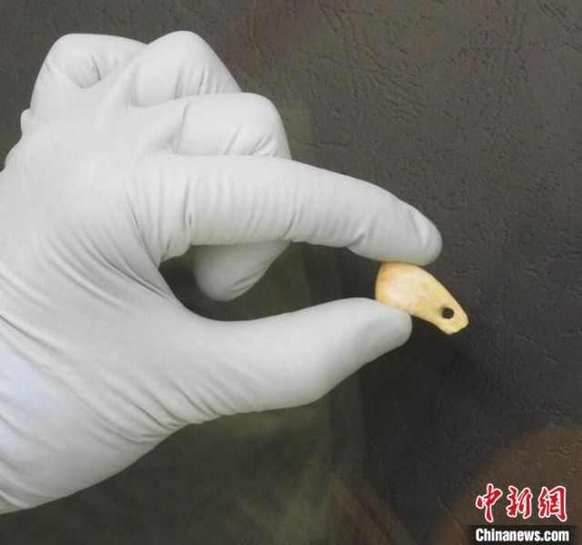 ���¹��׹����ȡDNA��(ͼƬ��������˹�����ʿ��ݻ�����ѧ�о���)����ʩ���ָ���Ȼ ��ͼ