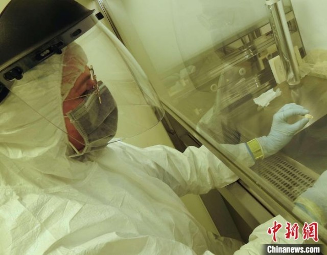 Elena Essel�ھ����д���¹��׹��(ͼƬ��������˹�����ʿ��ݻ�����ѧ�о���)����ʩ���ָ���Ȼ ��ͼ