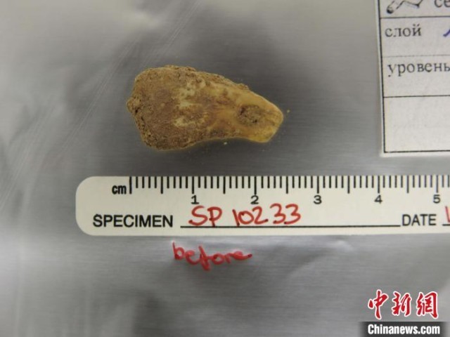 ���¹��׹����ȡDNAǰ(ͼƬ��������˹�����ʿ��ݻ�����ѧ�о���)����ʩ���ָ���Ȼ ��ͼ