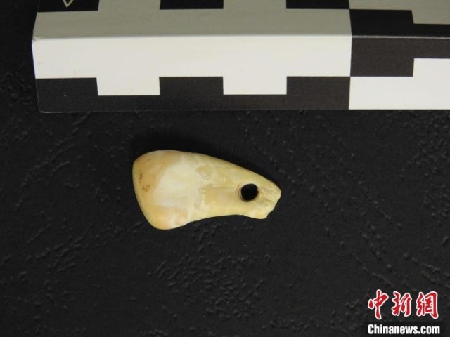 �����������ǵ������߶����ֵĴ��¹��׹��(ͼƬ��������˹�����ʿ��ݻ�����ѧ�о���)����ʩ���ָ���Ȼ ��ͼ