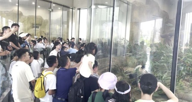 �������� ˣ�ɶ���������֮�� ��Ļ����