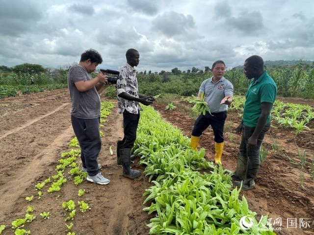 �����������߽���������ũҵ����ʾ�����ġ����������� ���޺���