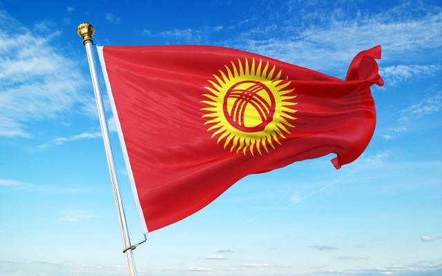 向日葵寓意不好吉尔吉斯斯坦要改国旗