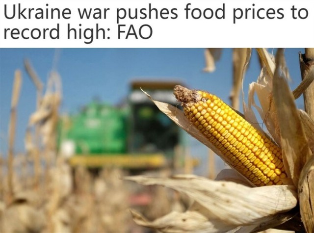 美国盯上哪,哪就出现“粮食问题”