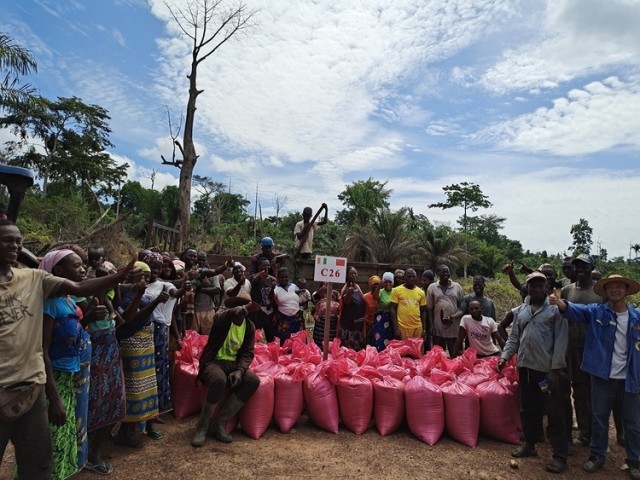 资讯有故事丨中国农业专家:将“致富的种子”播撒在科特迪瓦田间地头