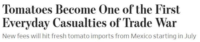 ��۲�ح�����������ѻ��Ϊ����һ����������