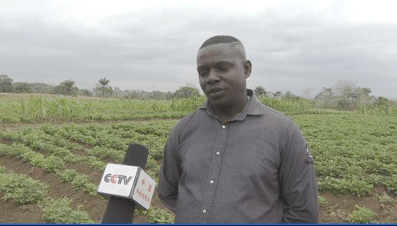 ������ɫ����ح�й�����Ϊ�չ������������������������������ʵ�ľ���ۡ�