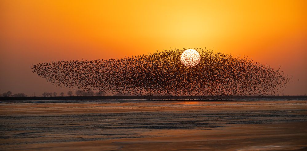 20261029f5e548484f1f477f9f5bc2aedaca9722_ff31866335a74c0ea36c1557ef887b0a.jpg