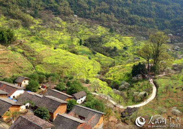 2月26日,在广西柳州市融安县东起乡铜板屯航空拍摄的乡村美景