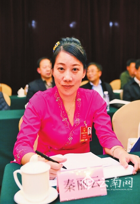 秦丽云代表的"小目标":加快临沧铁路建设