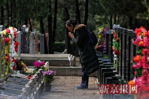 今日上午北京28万人出行扫墓长青园首次举行集体自然葬