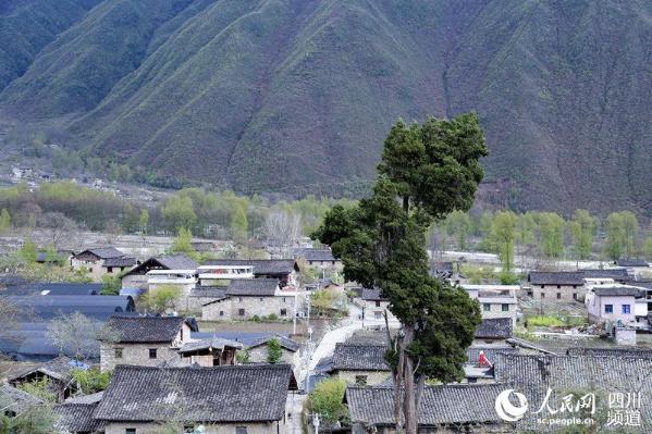 四川泸定县岚安古镇一商店保留着以物易物习俗组图