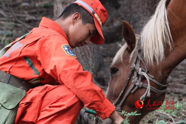 新疆喀纳斯密林深处有一支森警骑兵组图