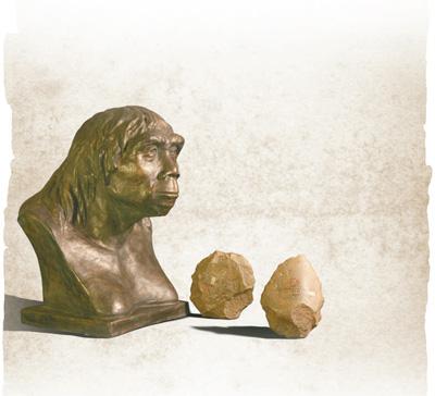 北京猿人头盖骨出土90周年不断丰富史前文化遗产