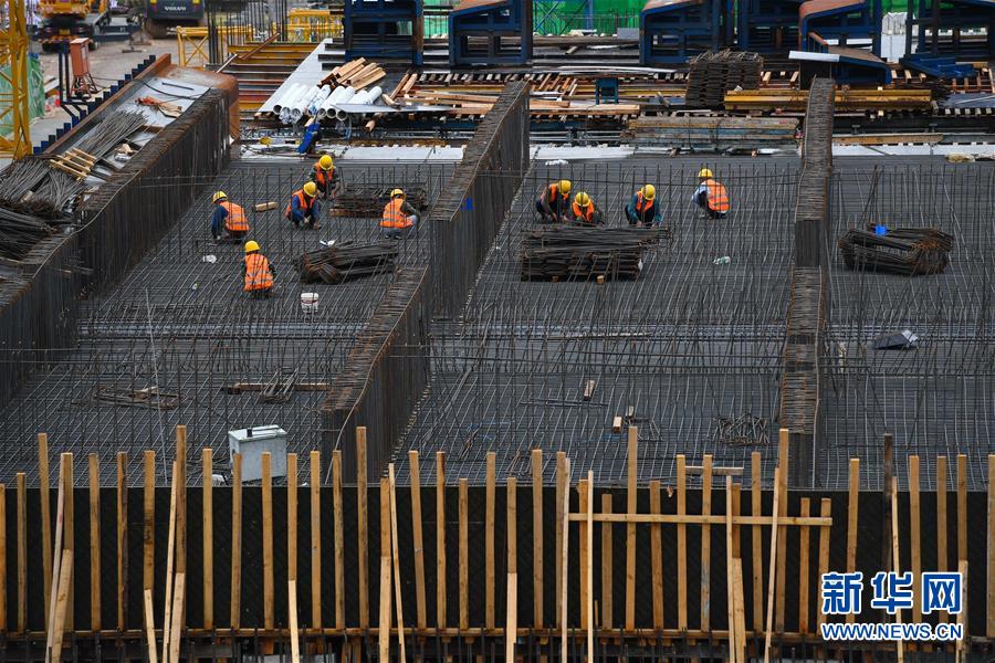 韧性与活力:中国经济社会发展扫描