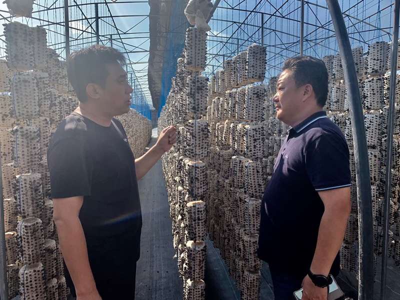 吕梁市委常委,中阳县委书记赵沂旸向扶贫队员介绍全县香菇产业情况.