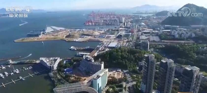 深圳打造全球活力创新之城 前海蛇口自贸片区平均3天推出一项制度创新成果_新闻频道_中国青年网