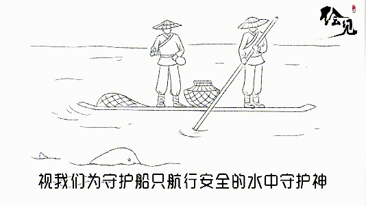 我叫江豚,这是我的故事