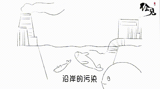 我叫江豚,这是我的故事
