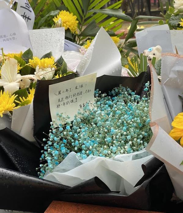 烈士墓前,鲜花常开!这些寄语让人动容