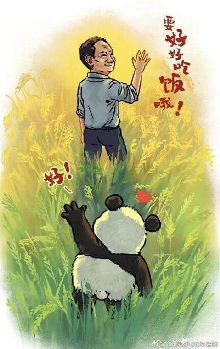 袁隆平的简笔画 水稻图片