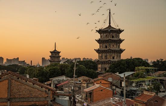 国内 >> 正文  泉州伯乐剧场,梨园戏浸入式表演,在充满现代感的文化