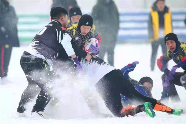 尔虞我诈 冰雪运动图片