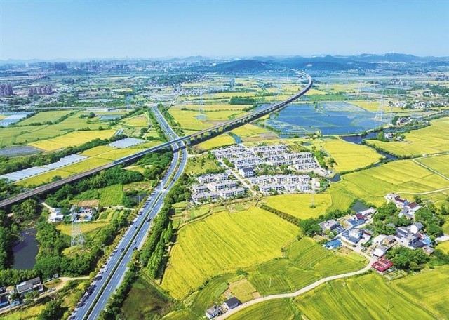 沥青路面摊铺技术的发展及其应用趋势
