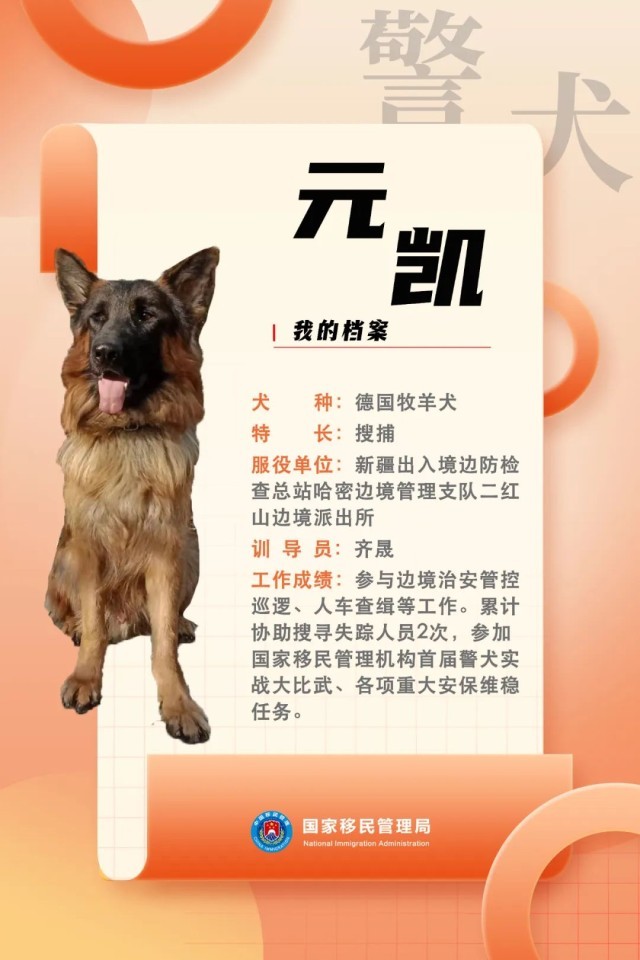 国家首批"功勋犬",来了!_新闻频道_中国青年网