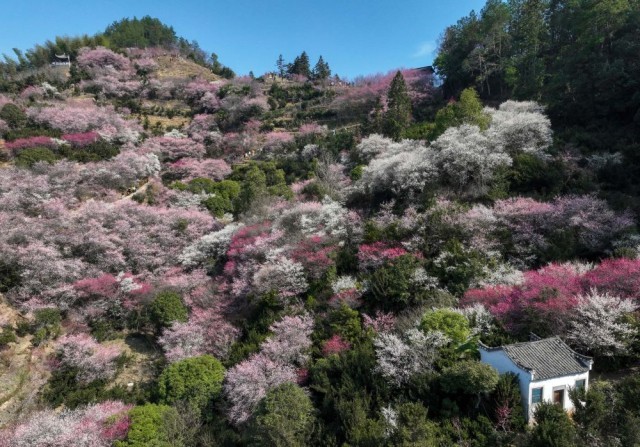 西江月·泉城春色（外一首） // 画马翁（图2）