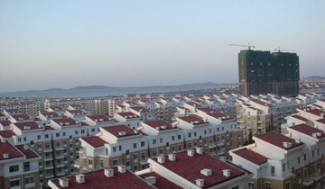 912.jpg